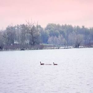 Meet your Posher, Mila